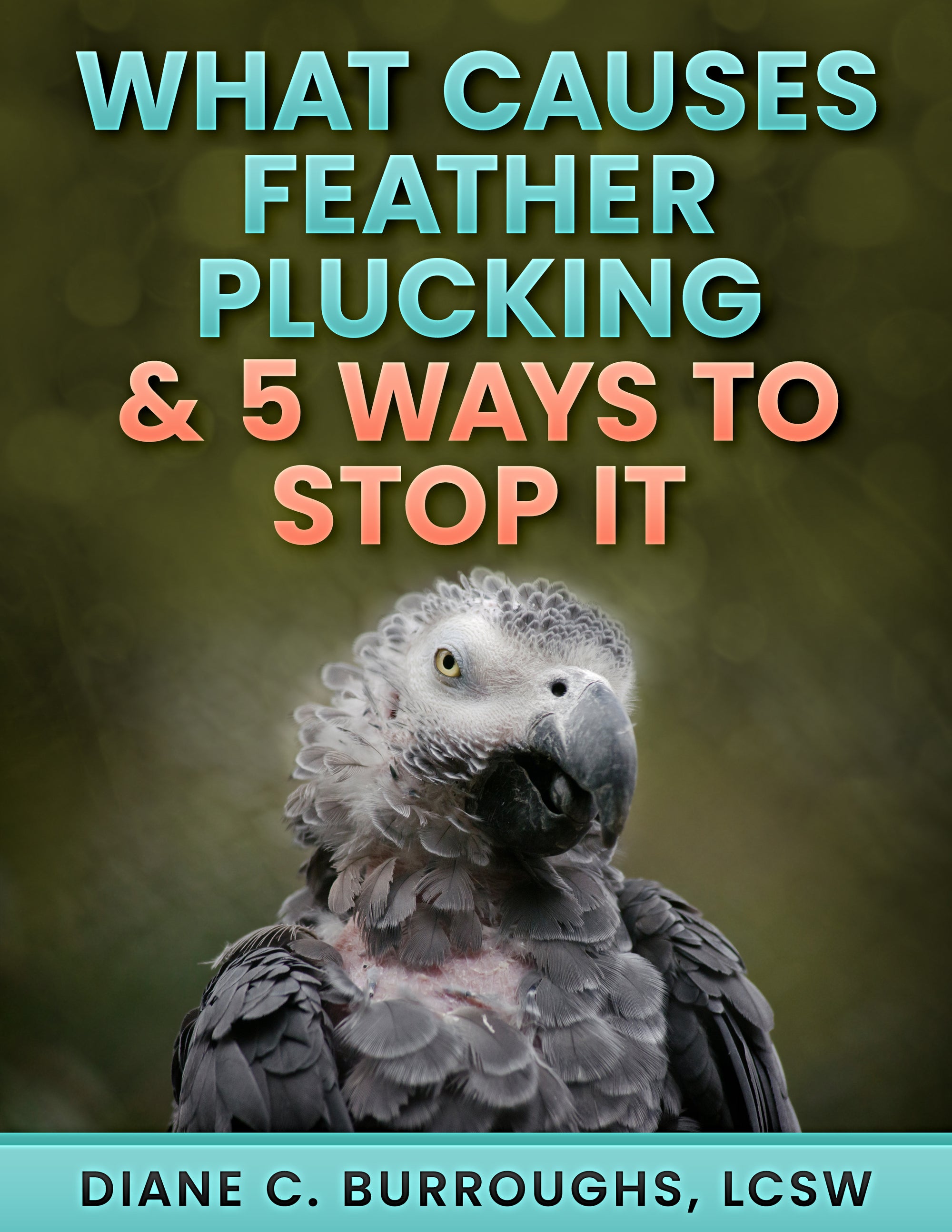 What Causes Feather Plucking & 5 Ways To Stop It - BirdSupplies.com