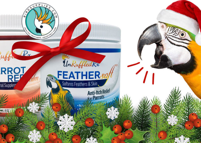 12 Days Christmas For Your Feathered Friend: simple things you can do to help your parrot thrive this holiday season