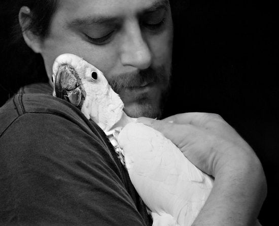 Coping with the Loss of a Pet Bird: A Guide to Grieving and Healing