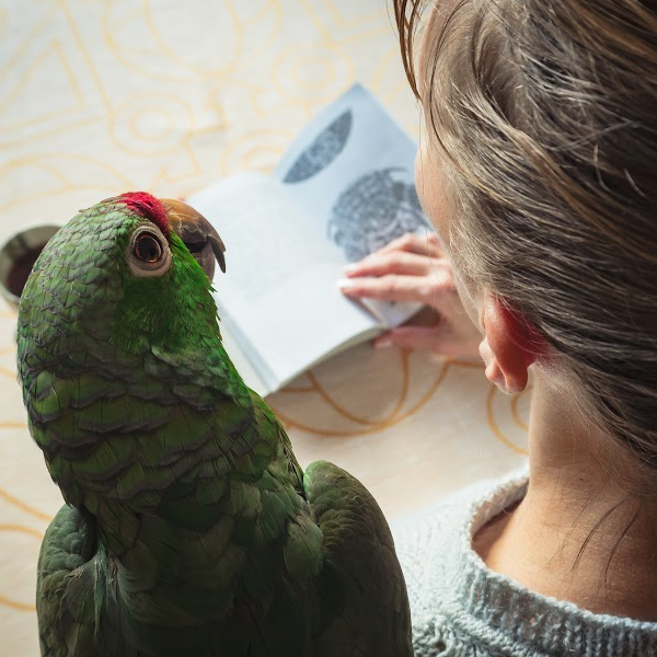 parrot care books