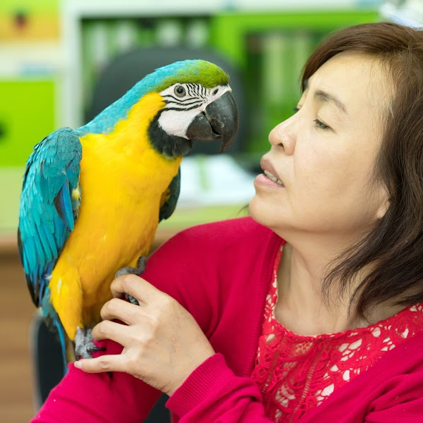 parrot health and wellness